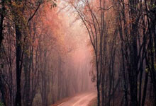 九游娱乐：作为如今转会市场上的“大鱼”之一，利物浦球星阿诺德的未来一直广受关注。根据talkSPORT的最新报道，阿诺德已经非常接近与皇马结缘，他甚至已经对皇马给出了口头承诺。.