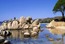 [棋牌]天元赛北京开幕 常昊：珍惜比赛机会 有思维底线.